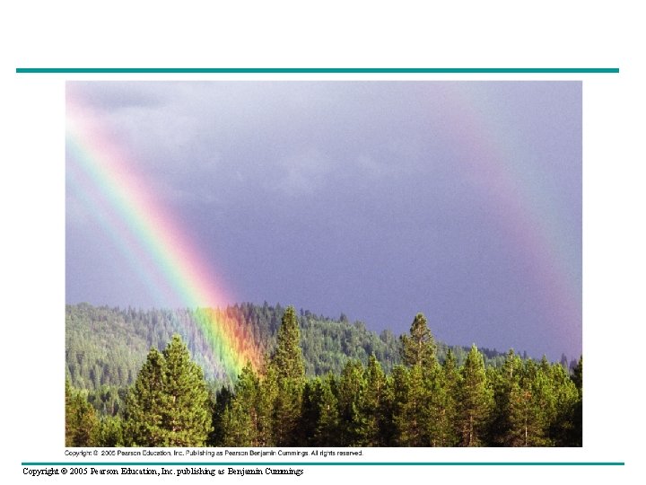 Copyright © 2005 Pearson Education, Inc. publishing as Benjamin Cummings 