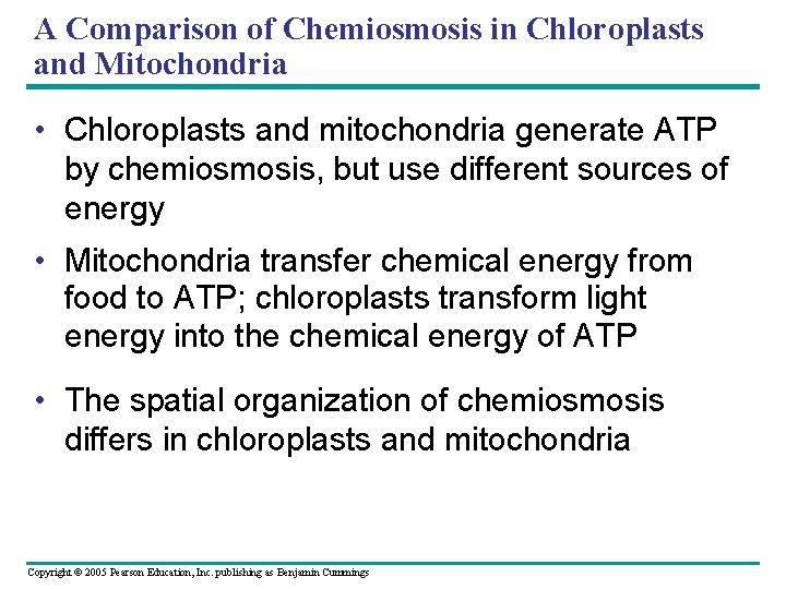 A Comparison of Chemiosmosis in Chloroplasts and Mitochondria • Chloroplasts and mitochondria generate ATP