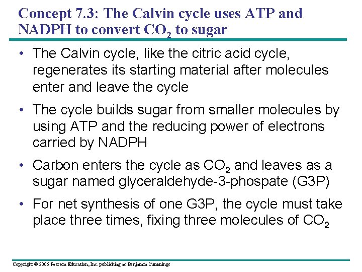 Concept 7. 3: The Calvin cycle uses ATP and NADPH to convert CO 2