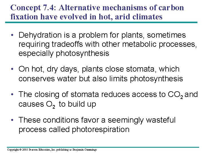 Concept 7. 4: Alternative mechanisms of carbon fixation have evolved in hot, arid climates