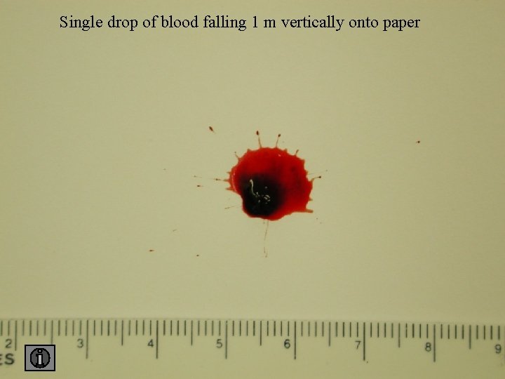 Single drop of blood falling 1 m vertically onto paper 1 paper 