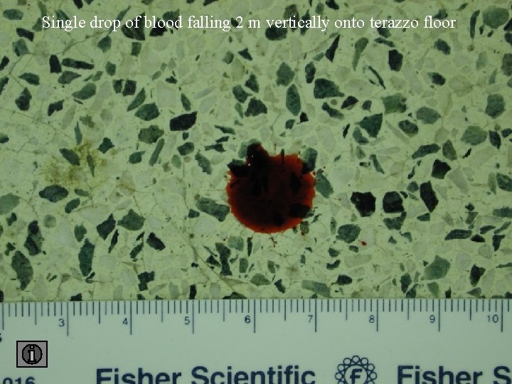 Single drop of blood falling 2 m vertically onto terazzo floor 2 floor 