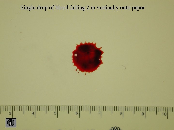 Single drop of blood falling 2 m vertically onto paper 2 paper 