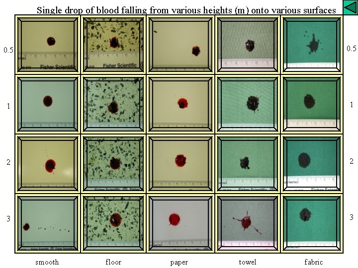 Single drop of blood falling from various heights (m) onto various surfaces 0. 5