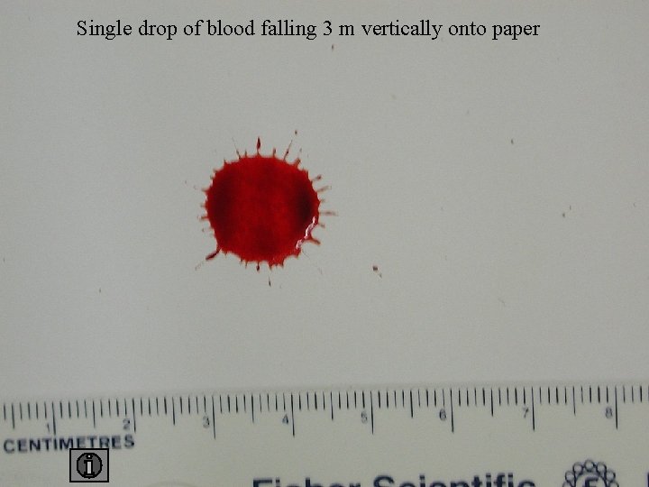 Single drop of blood falling 3 m vertically onto paper 3 paper 