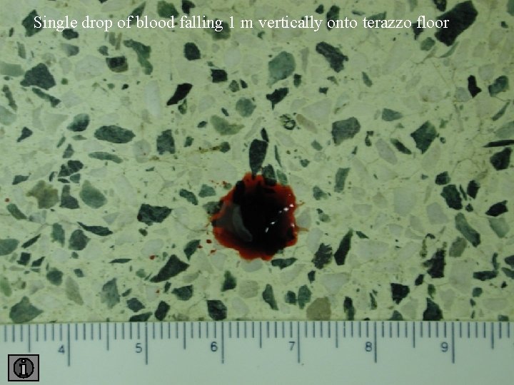 Single drop of blood falling 1 m vertically onto terazzo floor 1 floor 