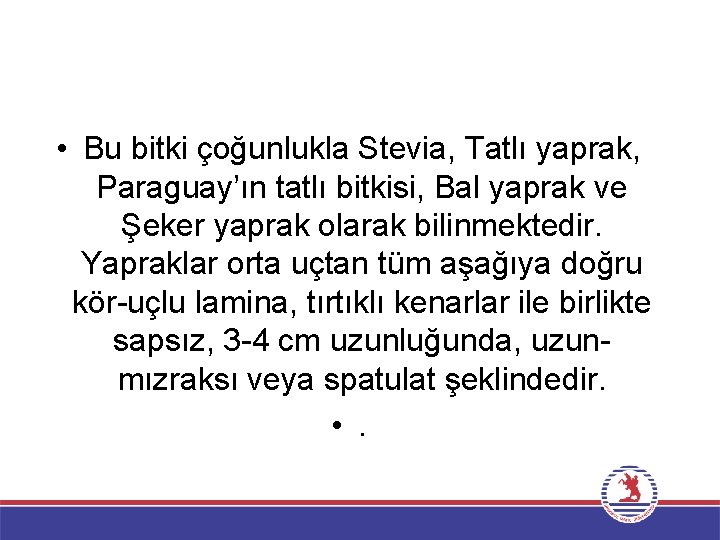  • Bu bitki çoğunlukla Stevia, Tatlı yaprak, Paraguay’ın tatlı bitkisi, Bal yaprak ve