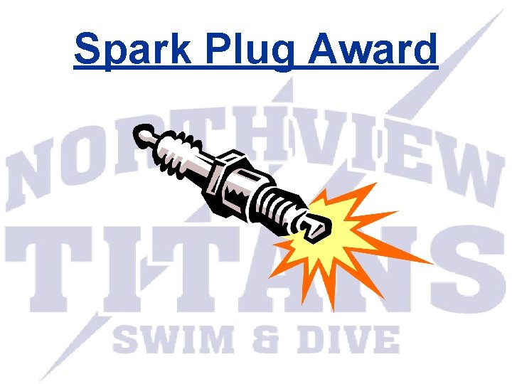 Spark Plug Award 