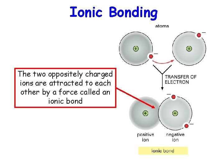 Ionic Bonding The two oppositely charged ions are attracted to each other by a