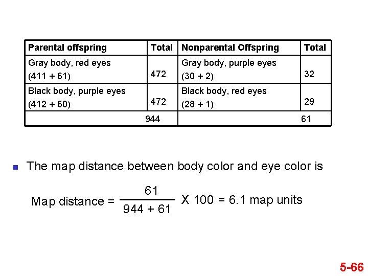 Parental offspring Gray body, red eyes (411 + 61) Black body, purple eyes (412