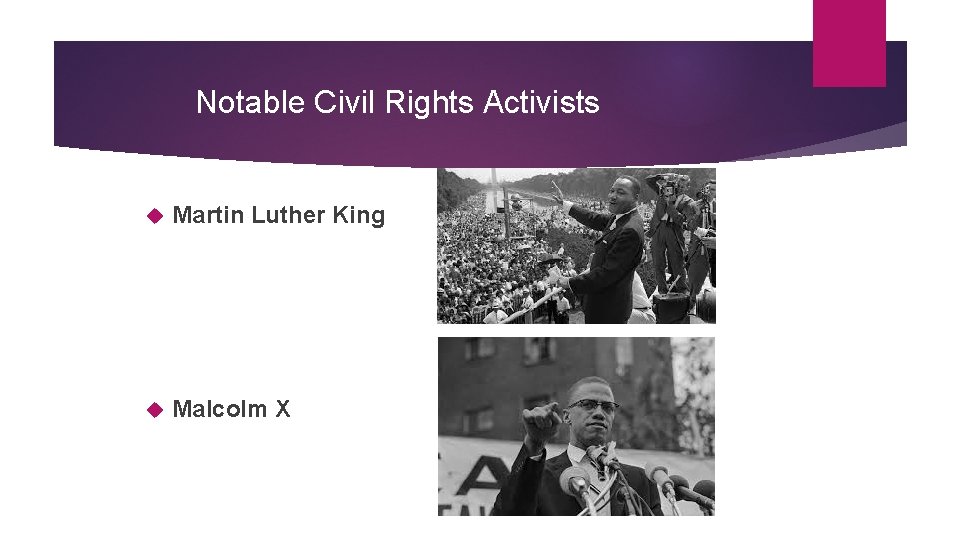 Notable Civil Rights Activists Martin Luther King Malcolm X 