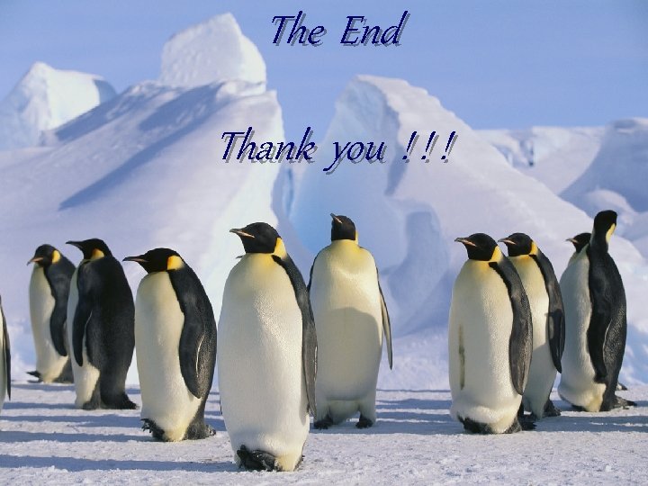 The End Thank you ! ! ! 