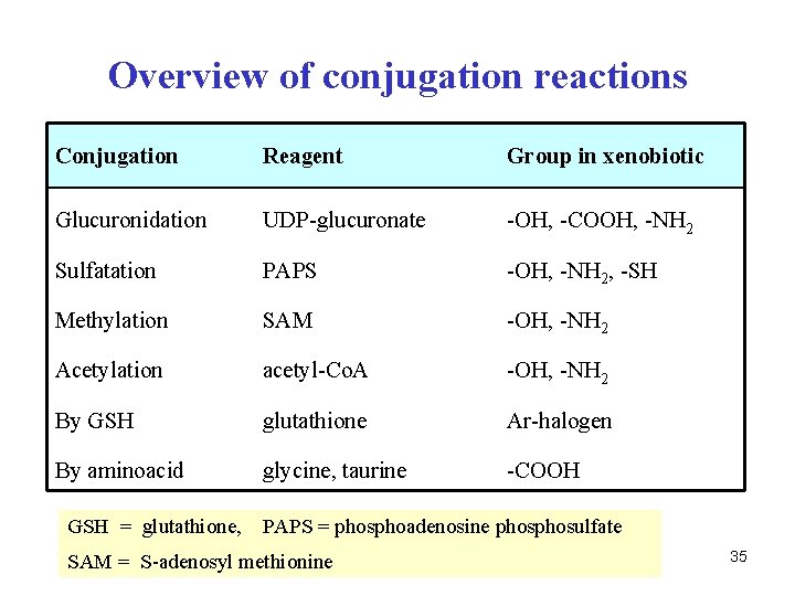 Overview of conjugation reactions Conjugation Reagent Group in xenobiotic Glucuronidation UDP-glucuronate -OH, -COOH, -NH