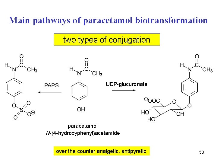 Main pathways of paracetamol biotransformation two types of conjugation UDP-glucuronate paracetamol N-(4 -hydroxyphenyl)acetamide over