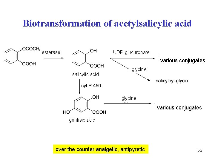 Biotransformation of acetylsalicylic acid esterase UDP-glucuronate various conjugates salicylic acid glycine various conjugates gentisic