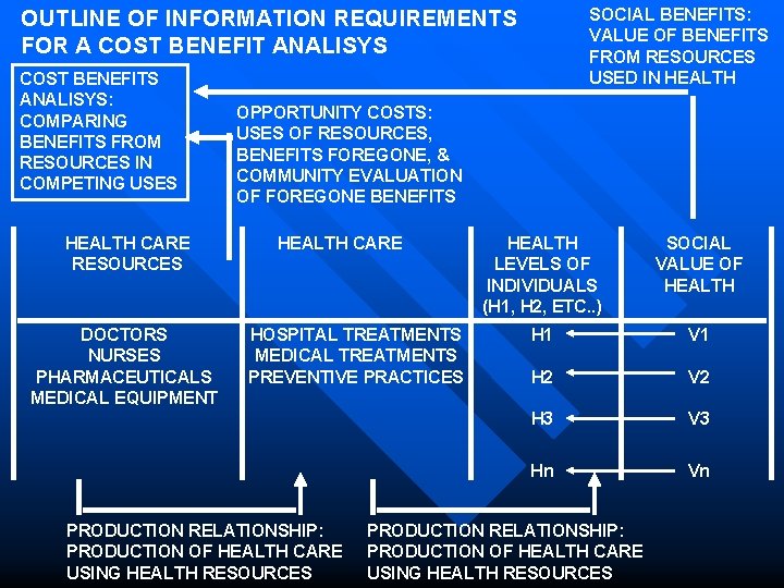 SOCIAL BENEFITS: VALUE OF BENEFITS FROM RESOURCES USED IN HEALTH OUTLINE OF INFORMATION REQUIREMENTS