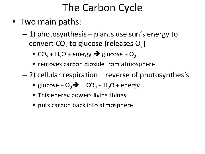The Carbon Cycle • Two main paths: – 1) photosynthesis – plants use sun’s
