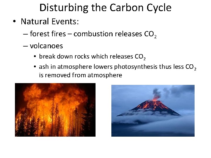 Disturbing the Carbon Cycle • Natural Events: – forest fires – combustion releases CO