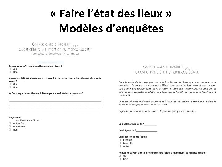  « Faire l’état des lieux » Modèles d’enquêtes 