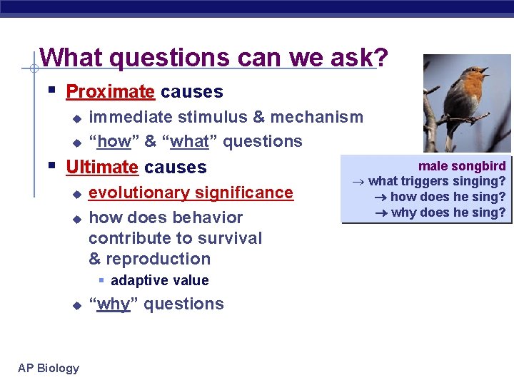 What questions can we ask? § Proximate causes u u immediate stimulus & mechanism