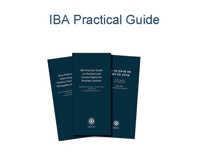 IBA Practical Guide 