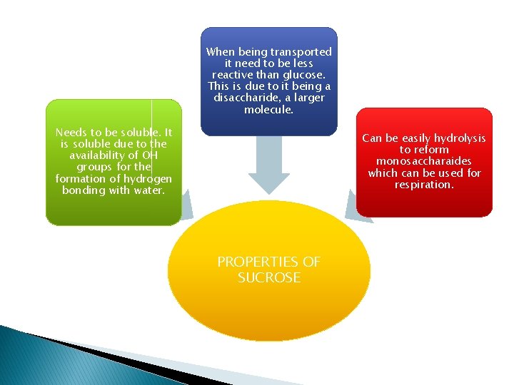 When being transported it need to be less reactive than glucose. This is due