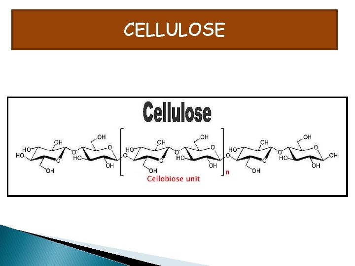 CELLULOSE 