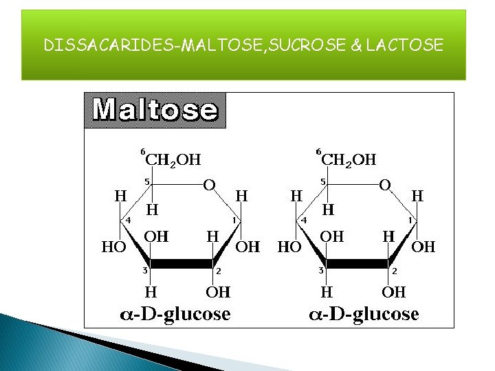 DISSACARIDES-MALTOSE, SUCROSE & LACTOSE 