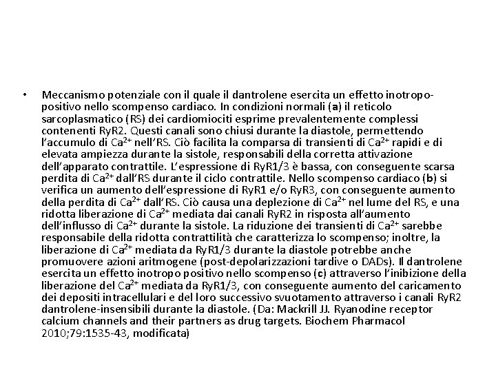  • Meccanismo potenziale con il quale il dantrolene esercita un effetto inotropopositivo nello