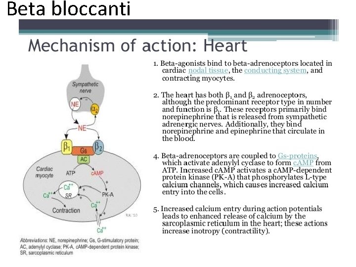 Beta bloccanti 