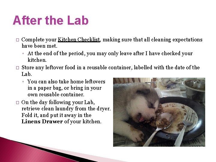 After the Lab � � � Complete your Kitchen Checklist, making sure that all
