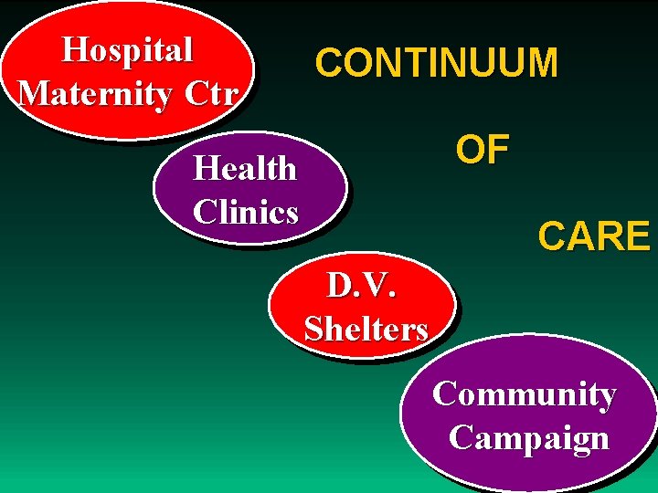 Hospital Maternity Ctr CONTINUUM OF Health Clinics CARE D. V. Shelters Community Campaign 