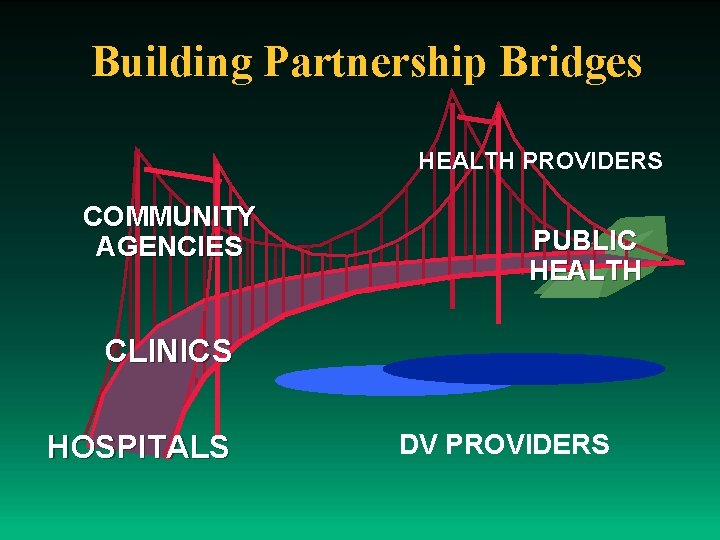 Building Partnership Bridges HEALTH PROVIDERS COMMUNITY AGENCIES PUBLIC HEALTH CLINICS HOSPITALS DV PROVIDERS 