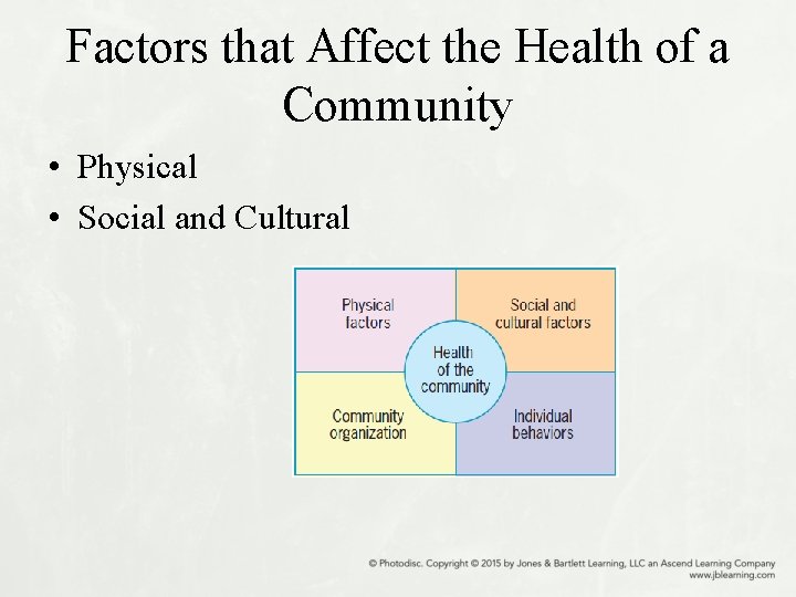 Factors that Affect the Health of a Community • Physical • Social and Cultural