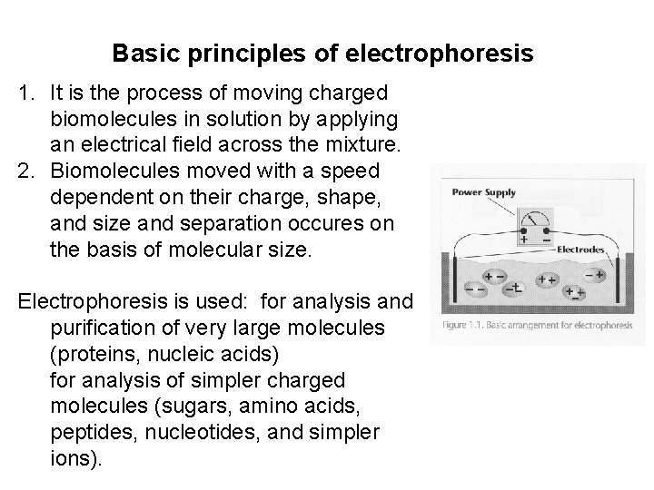Basic principles of electrophoresis 1. It is the process of moving charged biomolecules in
