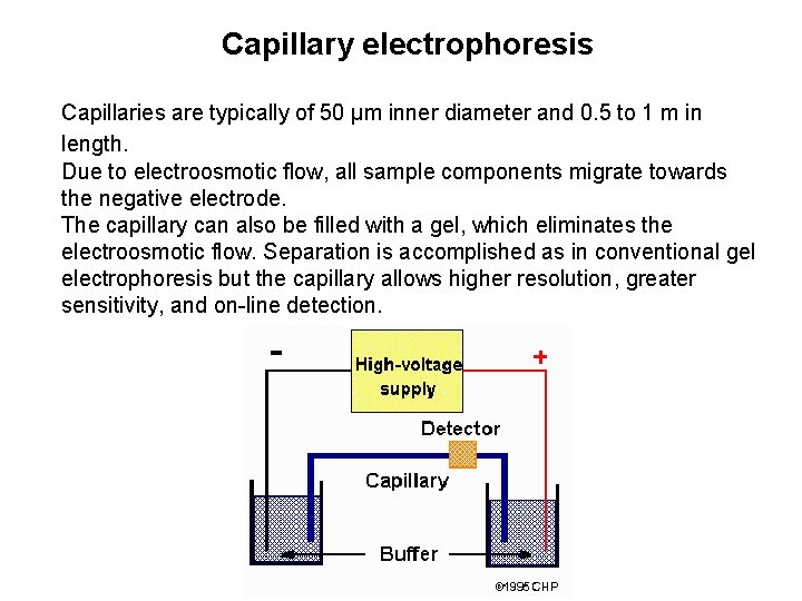 Capillary electrophoresis Capillaries are typically of 50 µm inner diameter and 0. 5 to