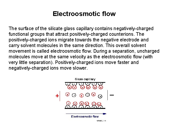 Electroosmotic flow The surface of the silicate glass capillary contains negatively-charged functional groups that