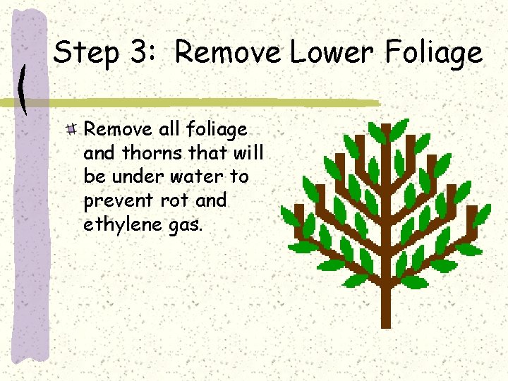 Step 3: Remove Lower Foliage Remove all foliage and thorns that will be under