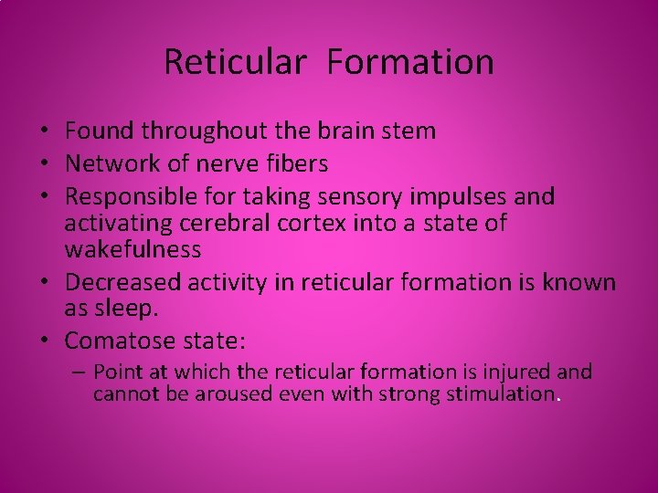 Reticular Formation • Found throughout the brain stem • Network of nerve fibers •