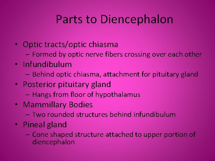 Parts to Diencephalon • Optic tracts/optic chiasma – Formed by optic nerve fibers crossing