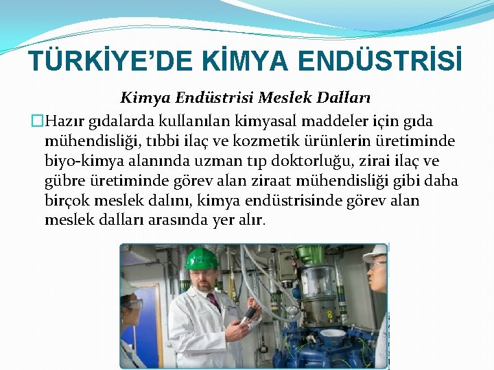 TÜRKİYE’DE KİMYA ENDÜSTRİSİ Kimya Endüstrisi Meslek Dalları �Hazır gıdalarda kullanılan kimyasal maddeler için gıda