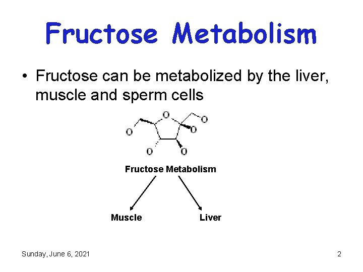 Fructose Metabolism • Fructose can be metabolized by the liver, muscle and sperm cells