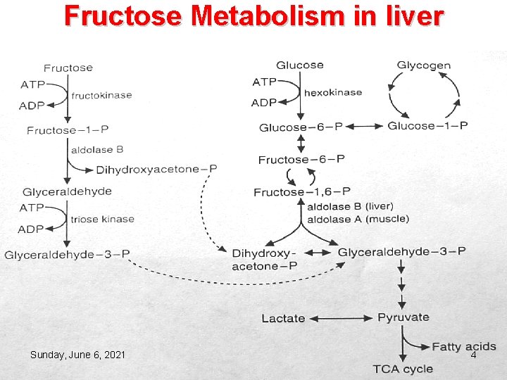 Fructose Metabolism in liver Sunday, June 6, 2021 4 