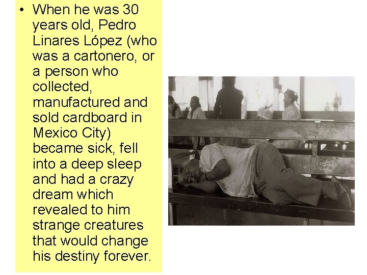  • When he was 30 years old, Pedro Linares López (who was a