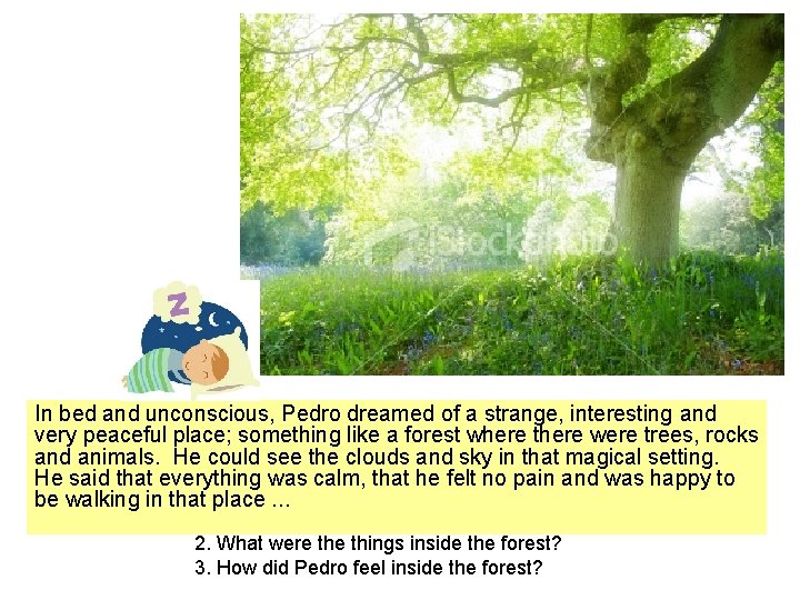 In bed and unconscious, Pedro dreamed of a strange, interesting and very peaceful place;