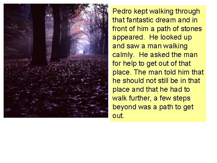 Pedro kept walking through that fantastic dream and in front of him a path