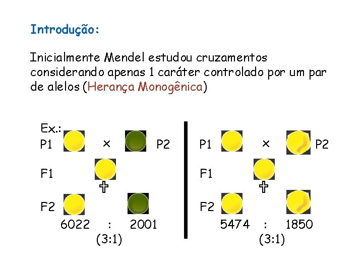 Introdução: Inicialmente Mendel estudou cruzamentos considerando apenas 1 caráter controlado por um par de
