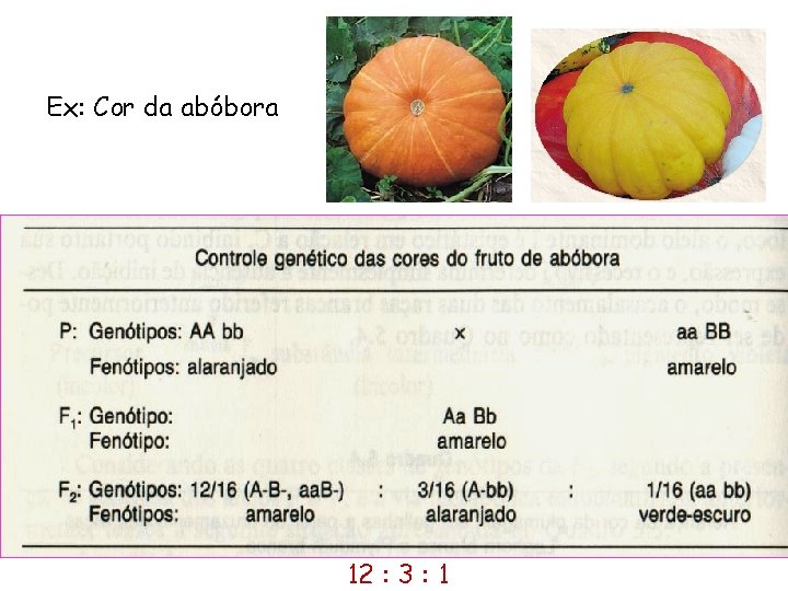 Ex: Cor da abóbora 12 : 3 : 1 