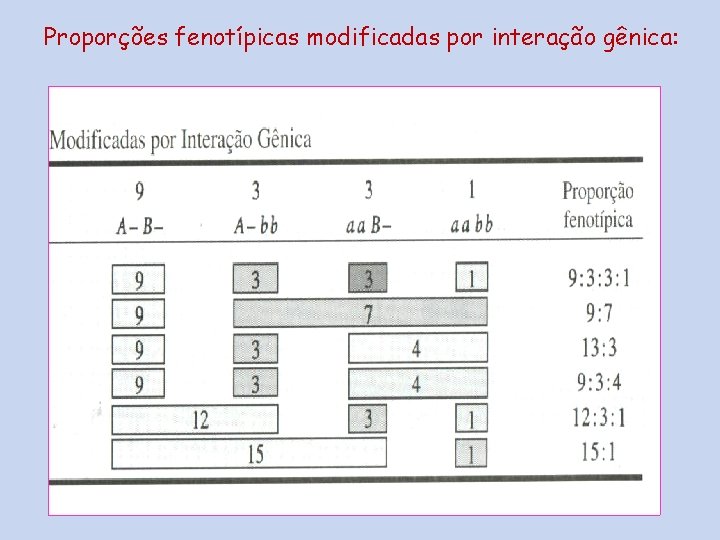 Proporções fenotípicas modificadas por interação gênica: 