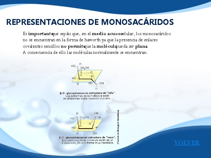 REPRESENTACIONES DE MONOSACÁRIDOS Es importanteque sepáis que, en el medio acuosocelular, los monosacáridos no